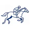 Horse Racing Betting Icon